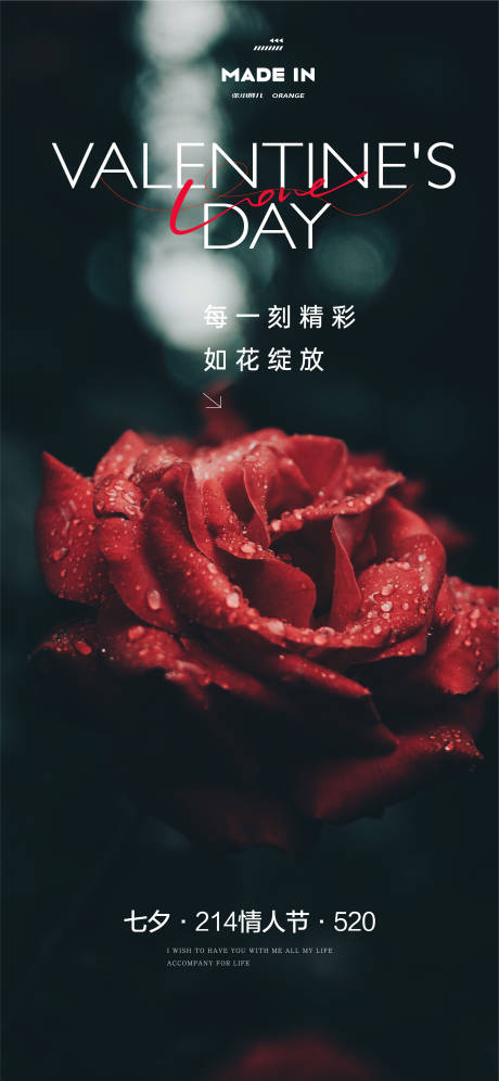源文件下载【情人节玫瑰之约】编号：85660032176028063