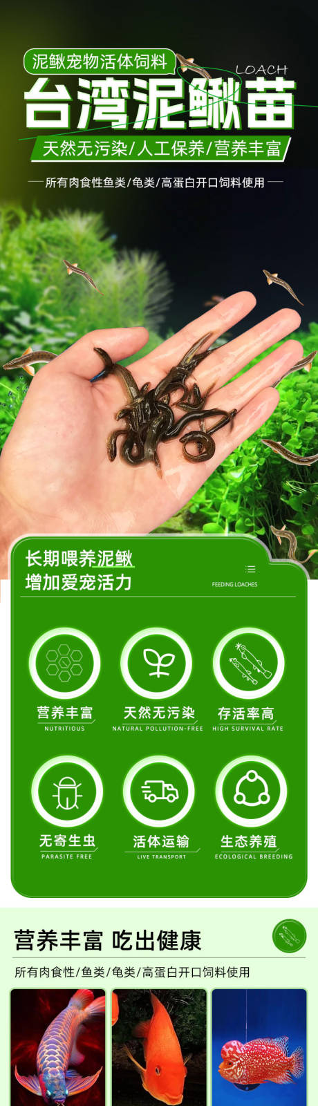 源文件下载【泥鳅苗】编号：30730031888094346