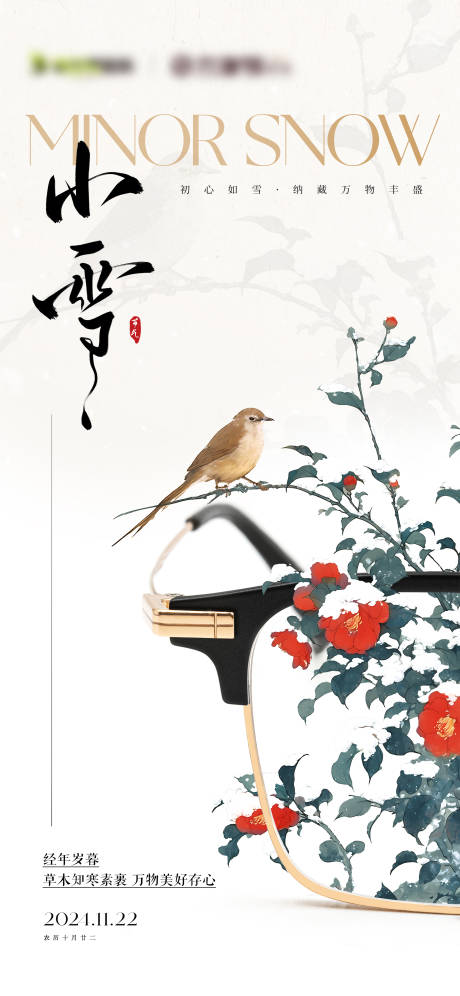 源文件下载【眼镜店小雪节气海报】编号：15800032038777748