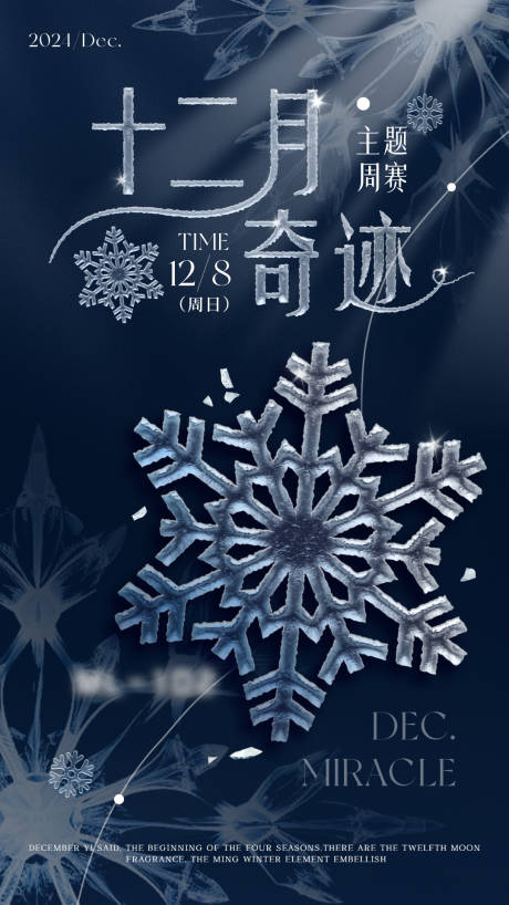 十二月奇迹海报冰雪