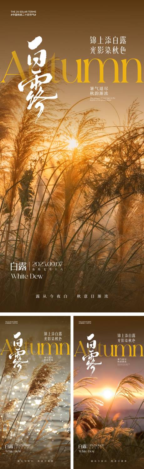 源文件下載【白露節氣海報】編號：55920031956748094
