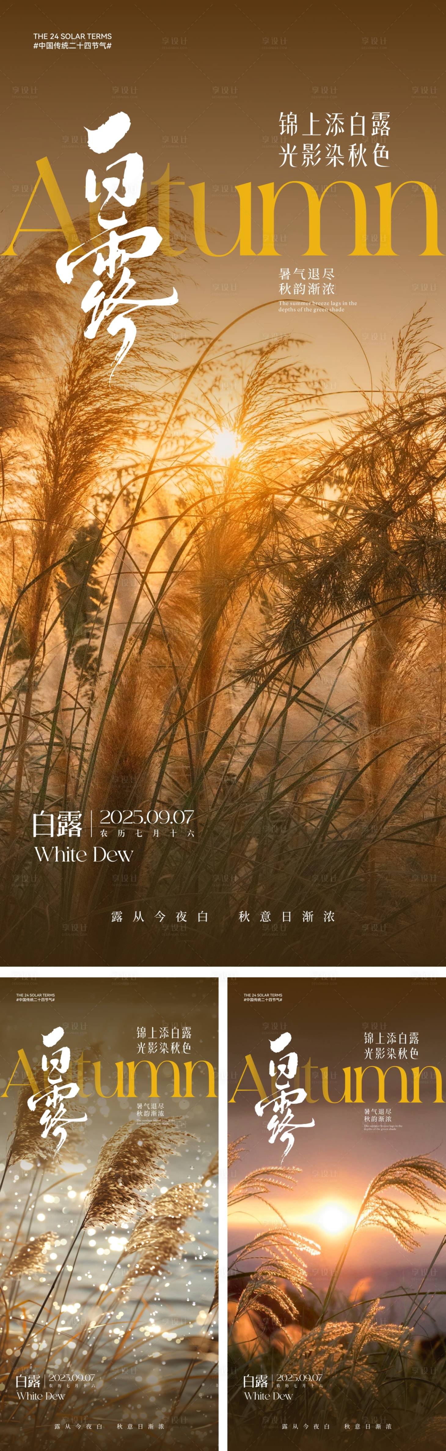源文件下載【白露節(jié)氣海報(bào)】編號(hào)：55920031956748094