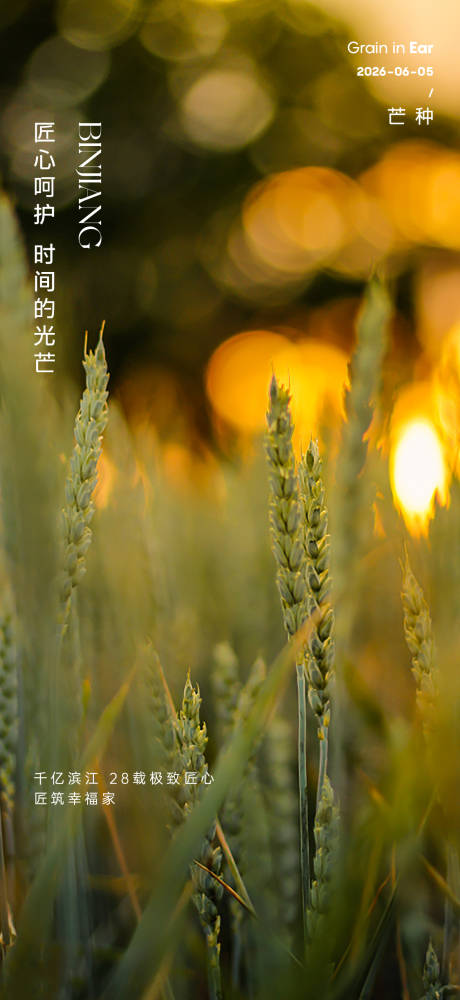 源文件下载【芒种节气海报】编号：54460032061996747