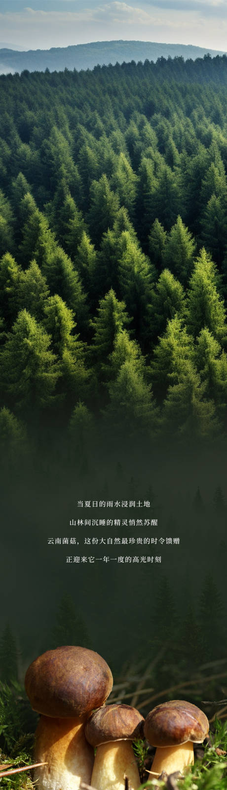 源文件下載【享設計】搜索編號：74450031955389181【菌子季長圖文】