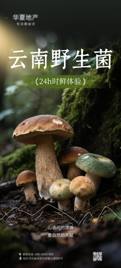 源文件下载【野生菌海报】编号：17120031951133403