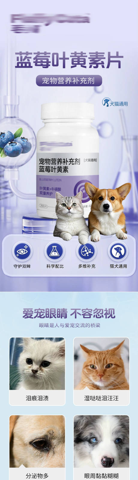 源文件下载【享设计】搜索编号：18230031789903516【宠物蓝莓叶黄素片】