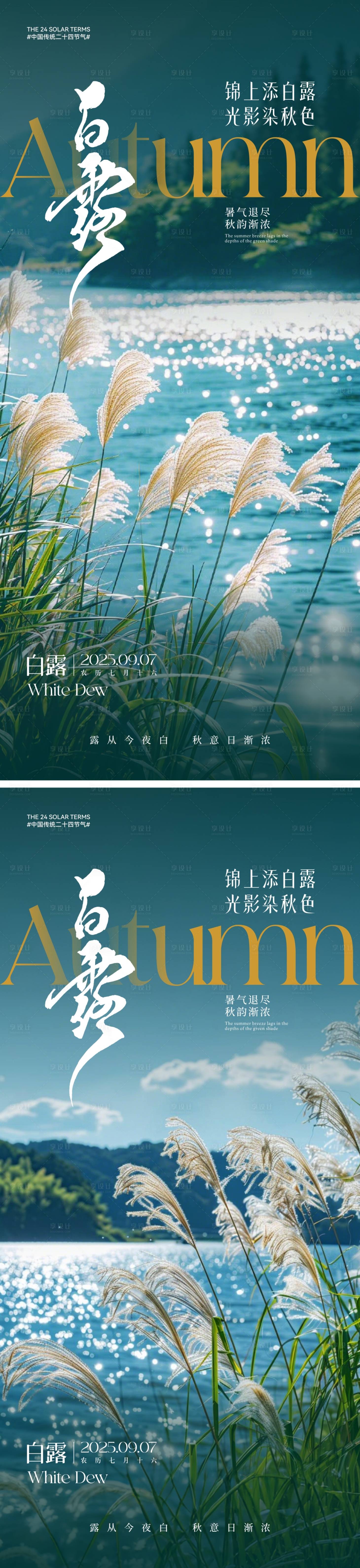 源文件下载【白露节气海报】编号：69150031957346586