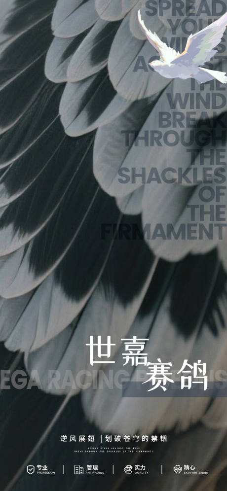源文件下载【赛鸽宣传海报】编号：33970031936146702