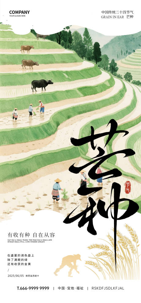 源文件下載【芒種節(jié)氣海報】編號：38510032255108064
