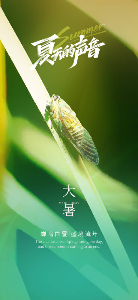 源文件下载【享设计】搜索编号：34810032024347657【大暑】