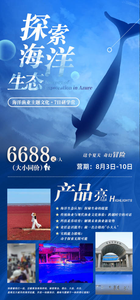 源文件下載【享設計】搜索編號：45570032115491542【探索海洋生態海報】