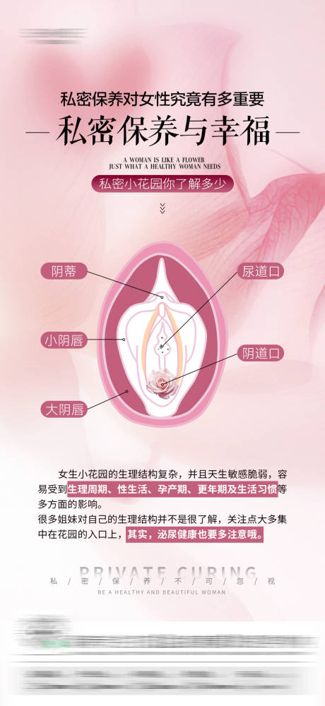 源文件下载【私密科普海报】编号：93860031783112656