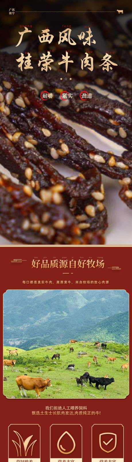 广西风味桂荣牛肉条详情页