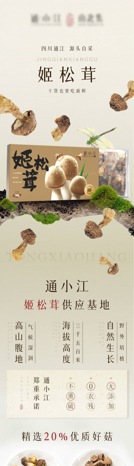 源文件下载【详情页长图】编号：33710031760331164