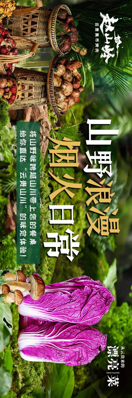源文件下载【云贵山野菜餐饮五图】编号：90150031994114686