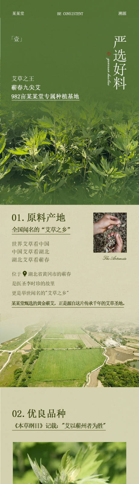源文件下載【享設計】搜索編號：45850032256849736【中醫長圖】