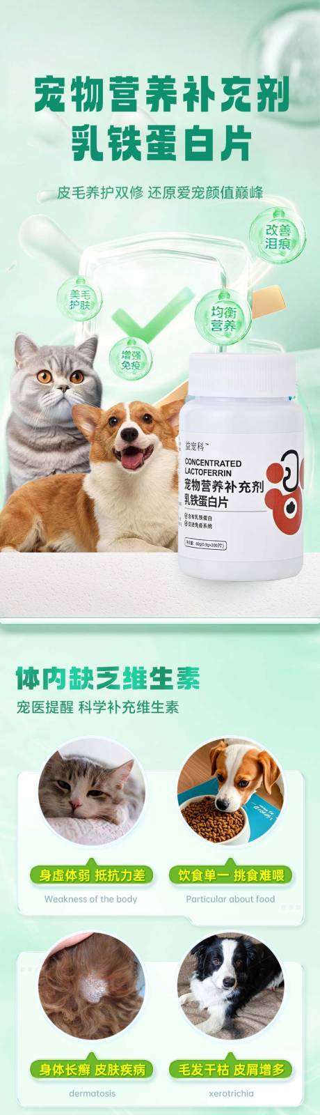 宠物猫犬通用乳铁蛋白片详情页