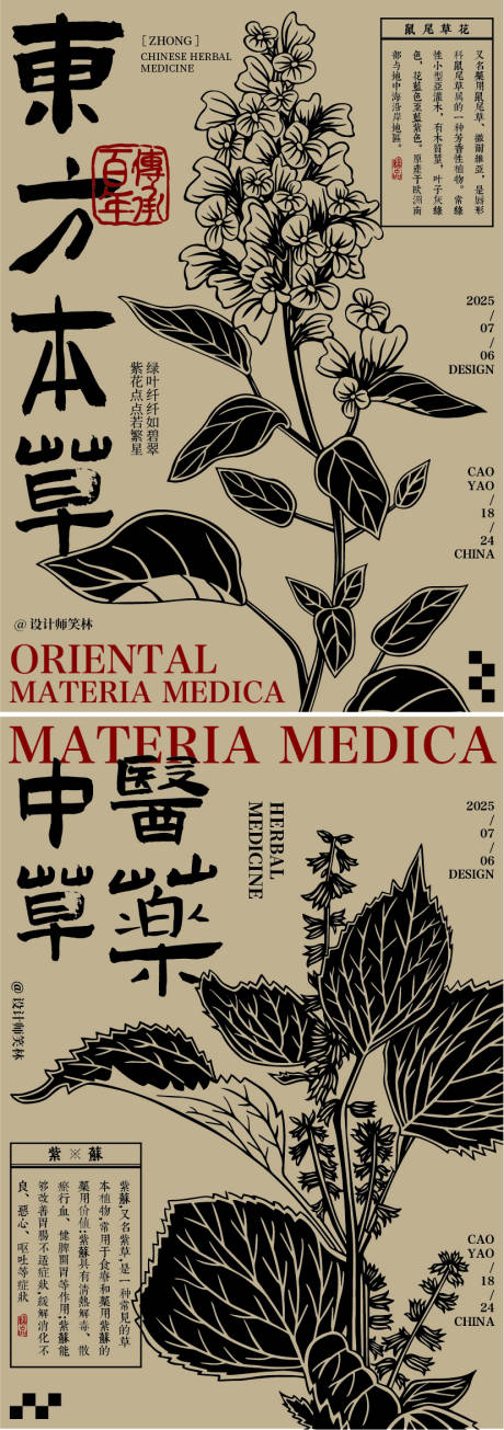 源文件下载【手绘东方本草植物花卉海报】编号：55310031784124475