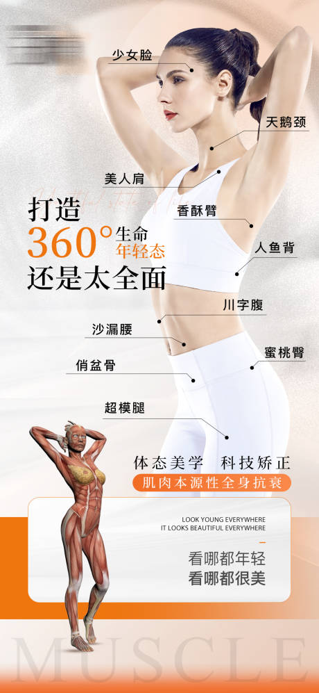 源文件下载【享设计】搜索编号：31110032157562253【肌肉抗衰】