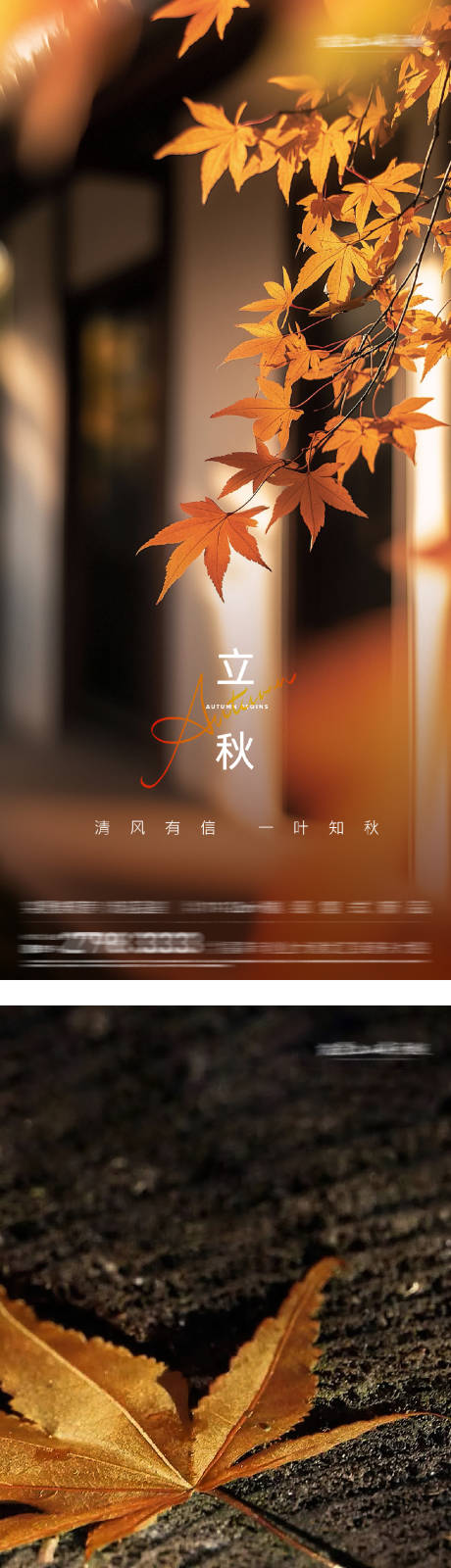 源文件下載【享設(shè)計】搜索編號：36170032267444257【立秋實景節(jié)氣海報系列】