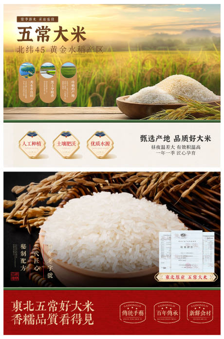 源文件下載【享設計】搜索編號：92900032220713881【五常大米水稻banner】