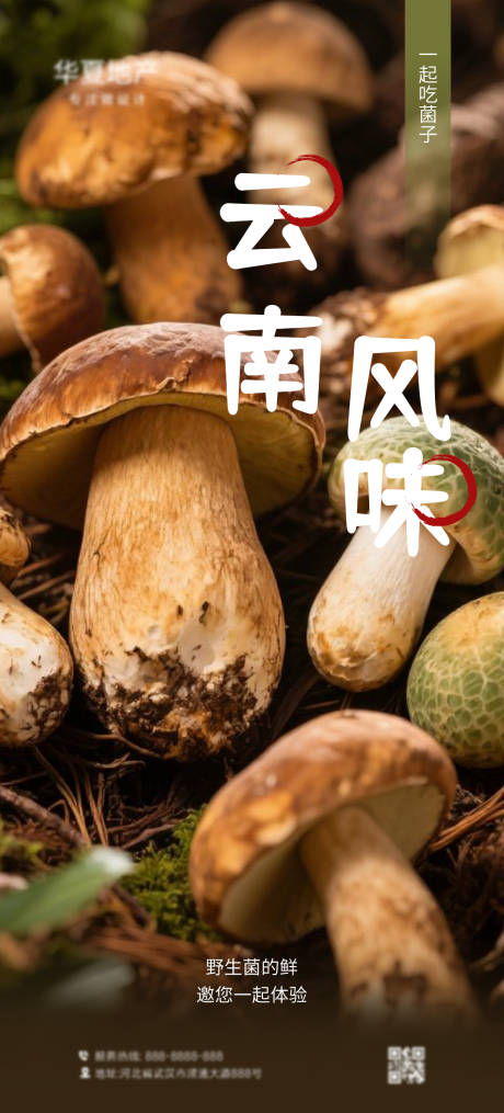 云南野生菌海报