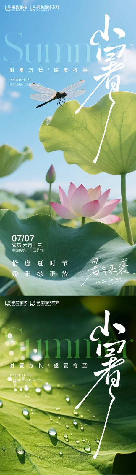 源文件下载【小暑节气海报】编号：32880031726766593