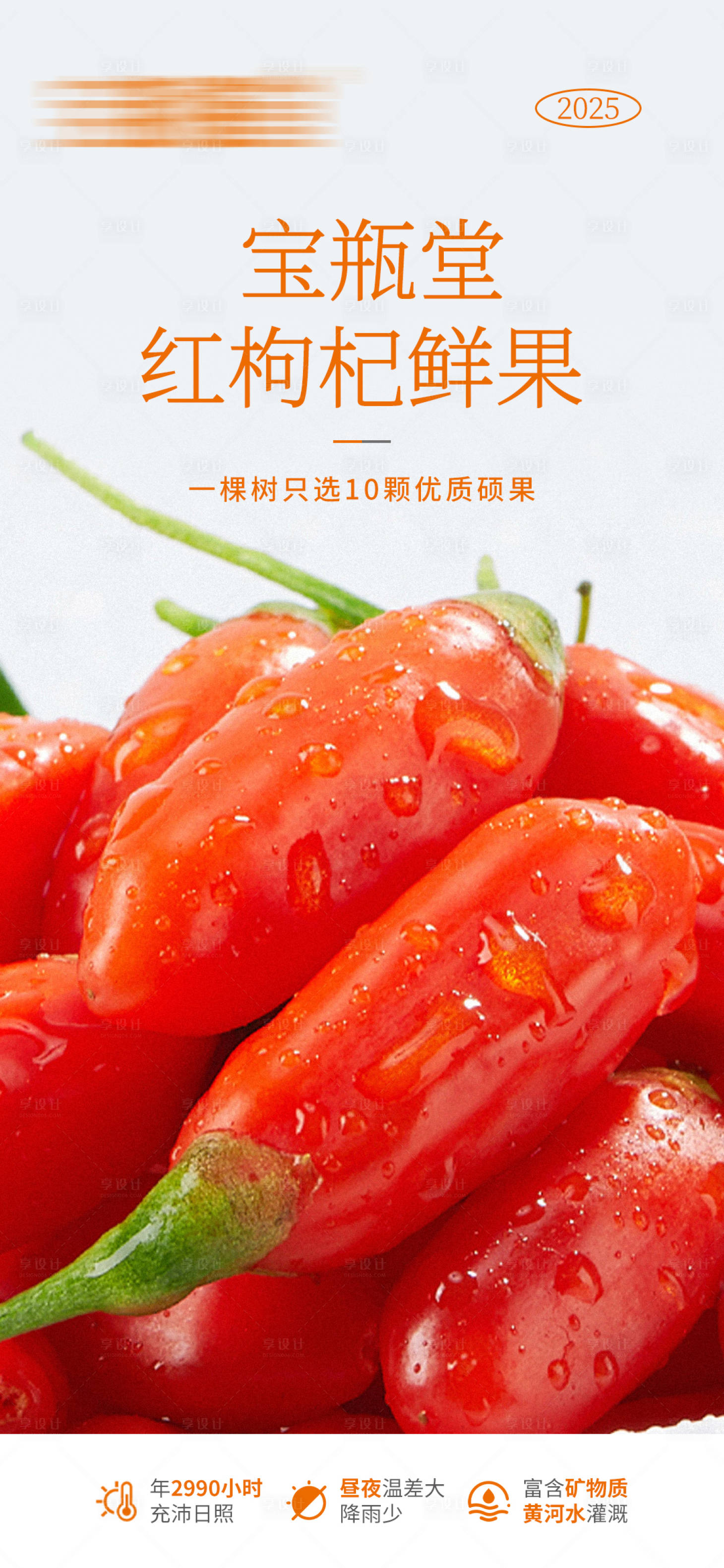 源文件下載【享設計】搜索編號：82160032170958271【寧夏枸杞海報】