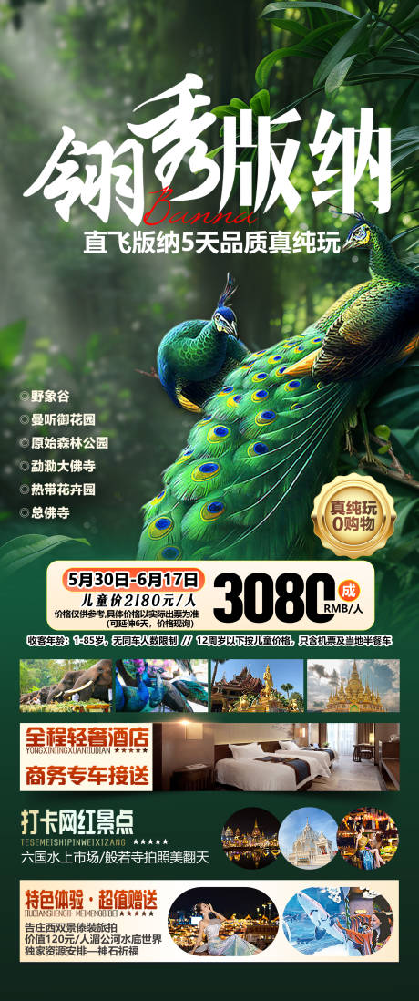 源文件下載【西雙版納旅游海報】編號：49720031875539284