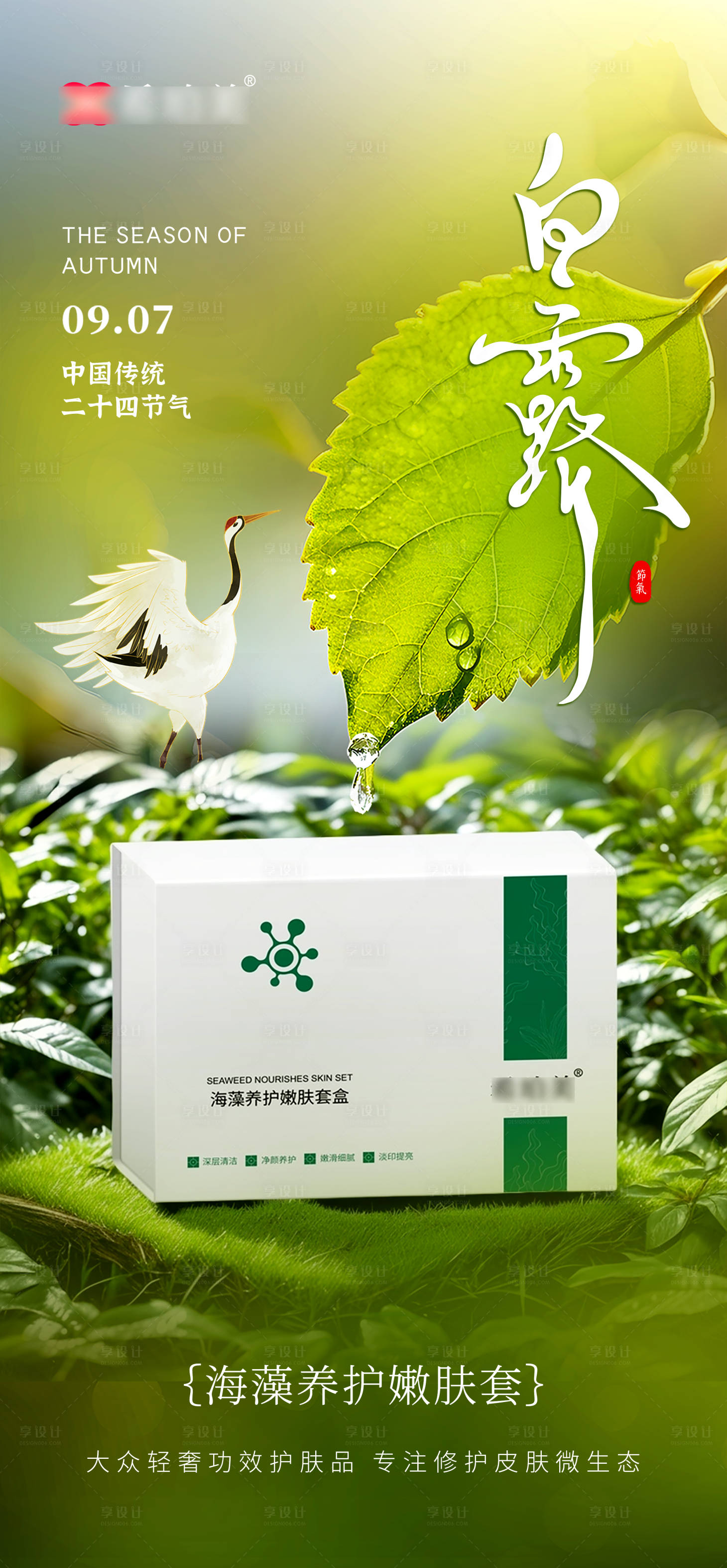 源文件下载【享设计】搜索编号：70470031985526325【白露节气海报】