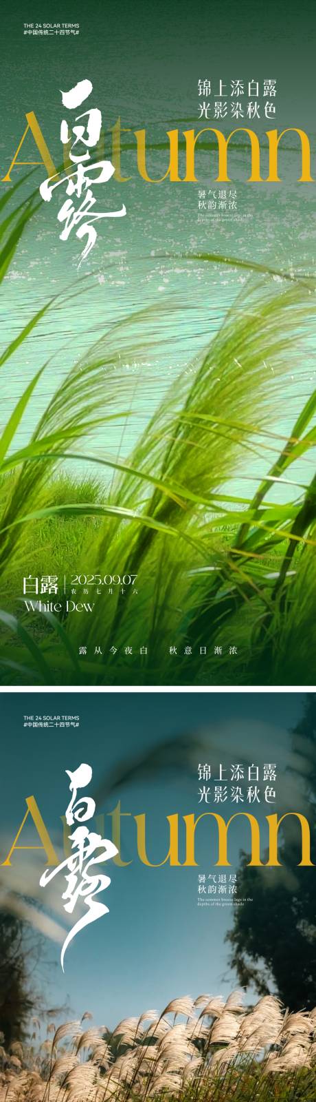 源文件下載【白露節(jié)氣海報(bào)】編號(hào)：85750031958161981