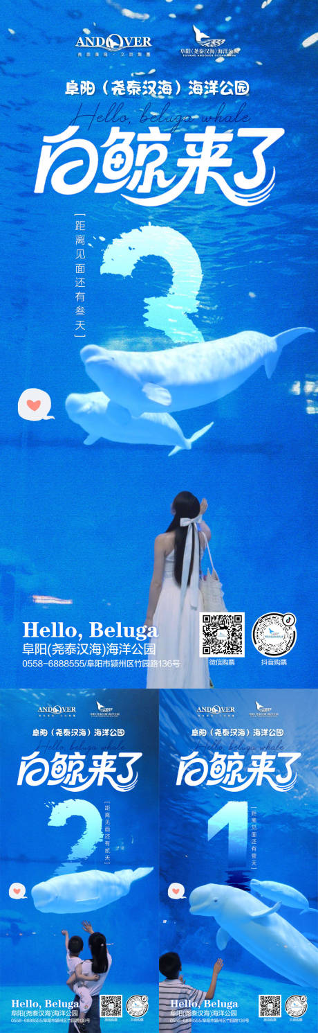 海洋馆白鲸倒计时海报