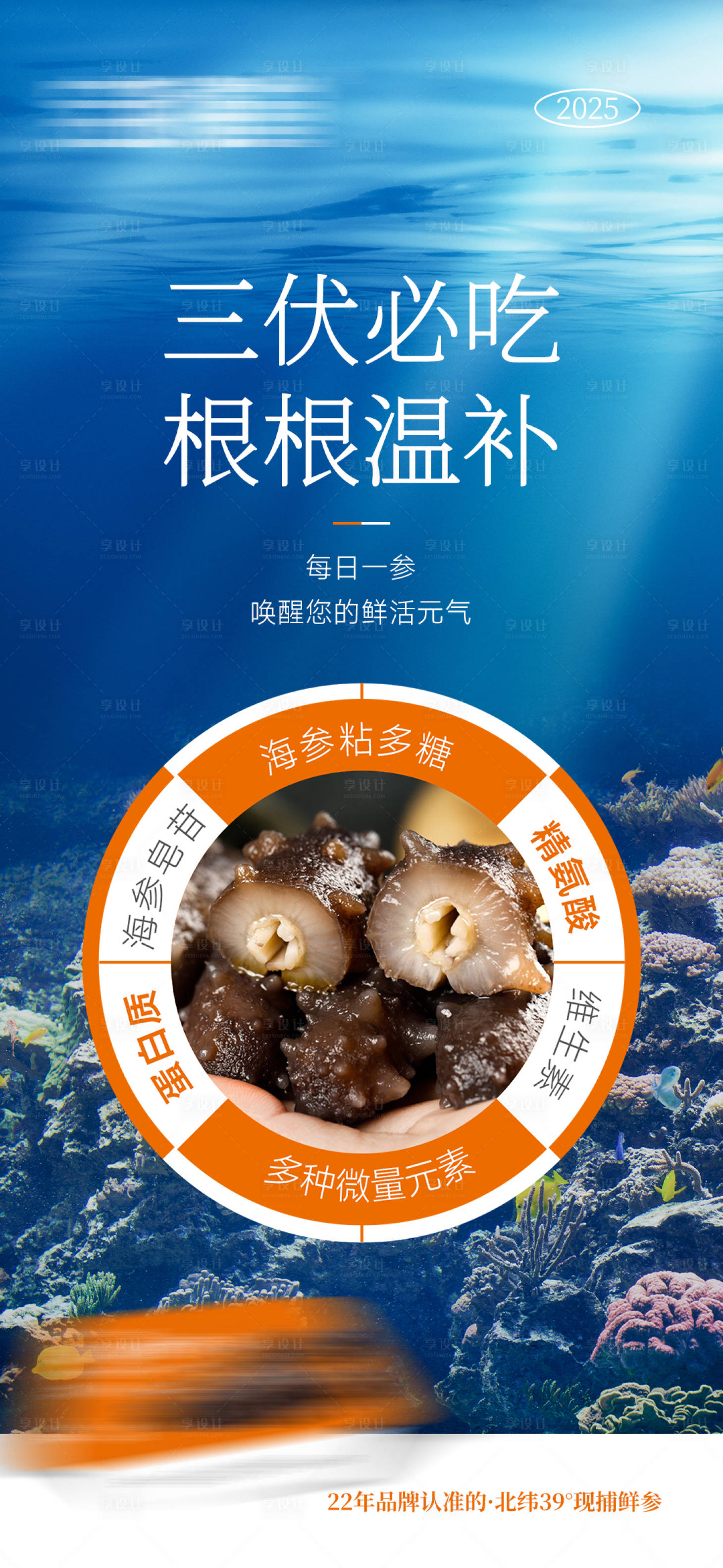 源文件下載【享設(shè)計(jì)】搜索編號(hào)：76310032170983911【遼寧海參】