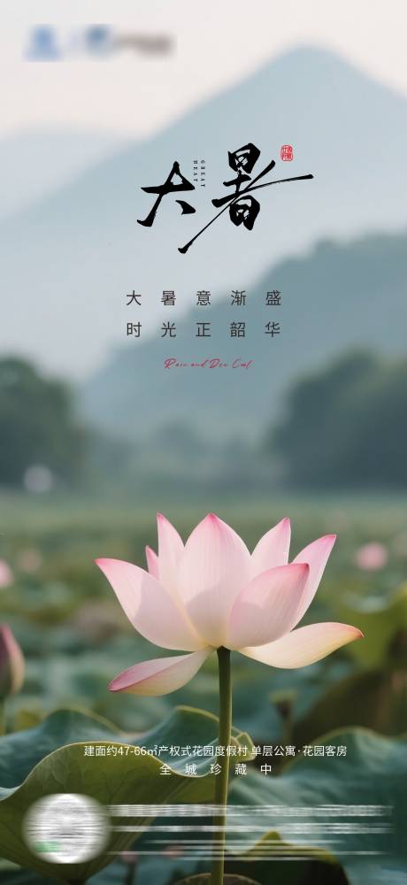 源文件下载【大暑节气海报】编号：97050032054419328