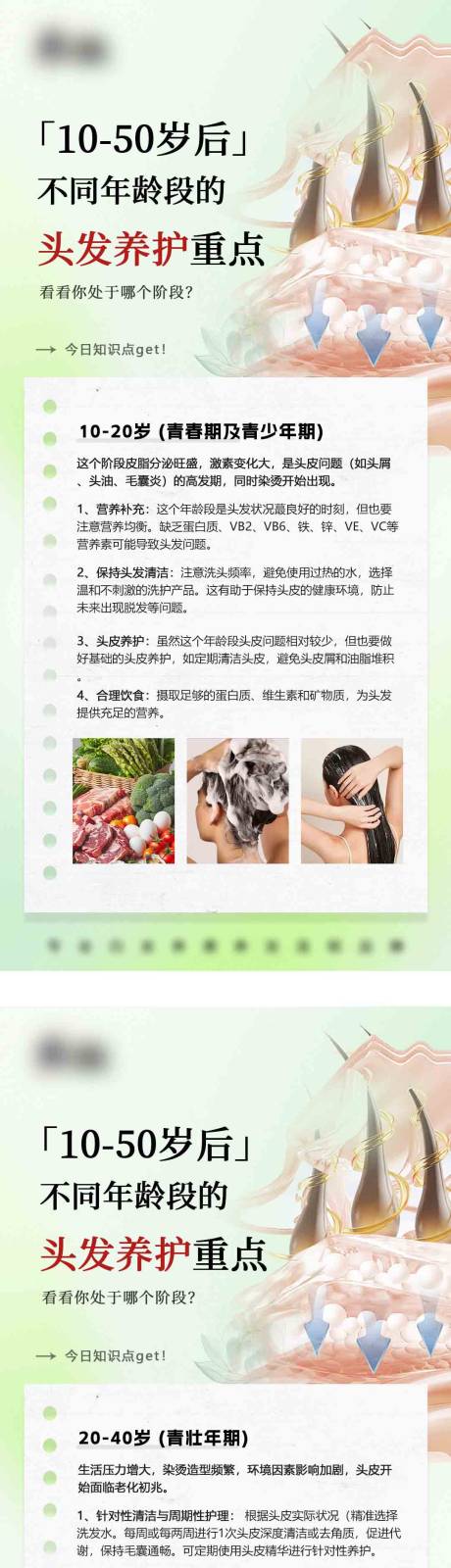 源文件下載【享設計】搜索編號：93240031981575818【綠色頭皮頭發養發護發知識科普】