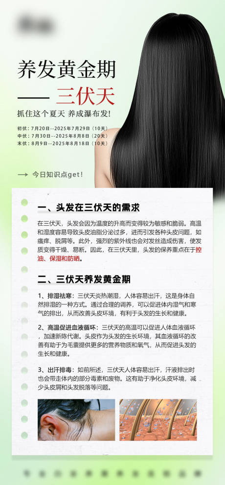 源文件下载【三伏头皮头发知识科普】编号：27480031982333398