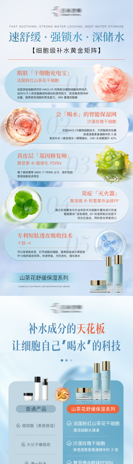 源文件下載【山茶花成分系列圖】編號(hào)：39920032022617695