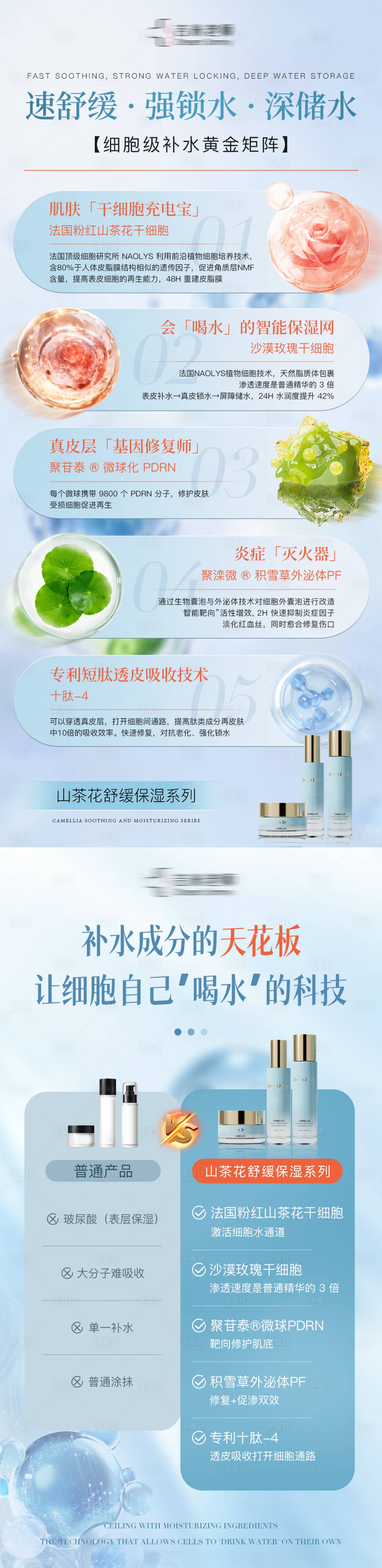 源文件下載【山茶花成分系列圖】編號：39920032022617695