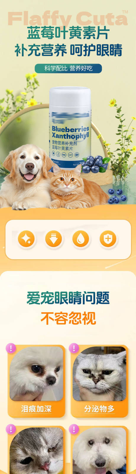 宠物营养蓝莓叶黄素片