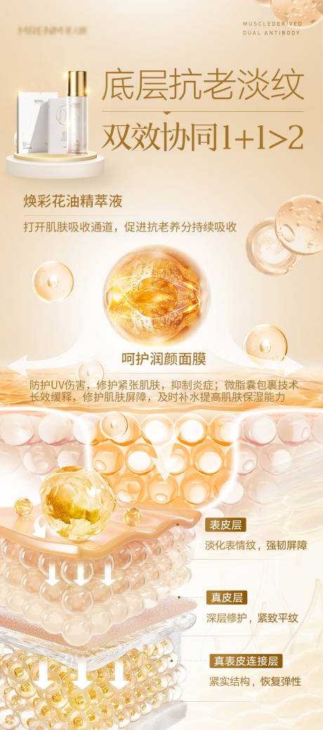 源文件下載【享設計】搜索編號：56180031681956452【精粹油功效海報海報】