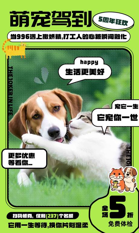 宠物周年海报