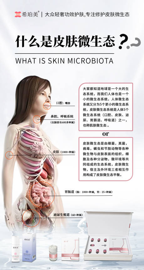 皮肤微生态海报设计