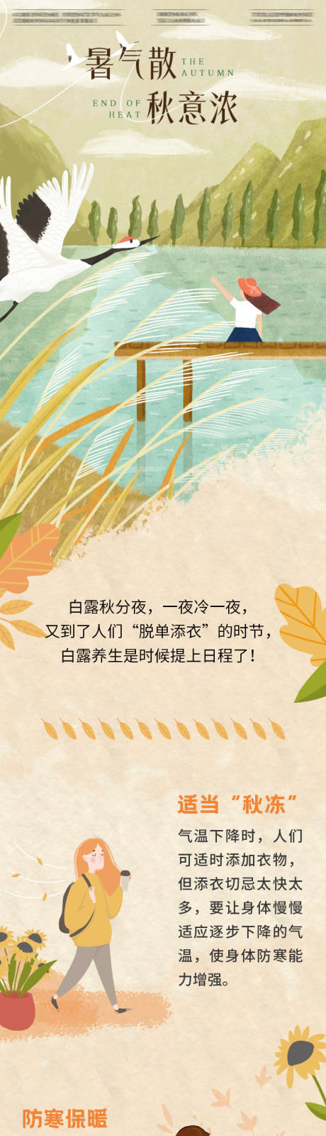源文件下载【节气处暑养生秋季海报白露公众号长图】编号：28530031970735234