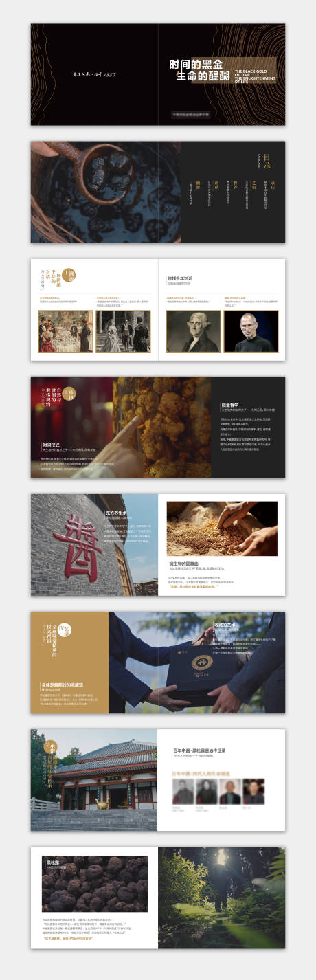 企业产品宣传画册