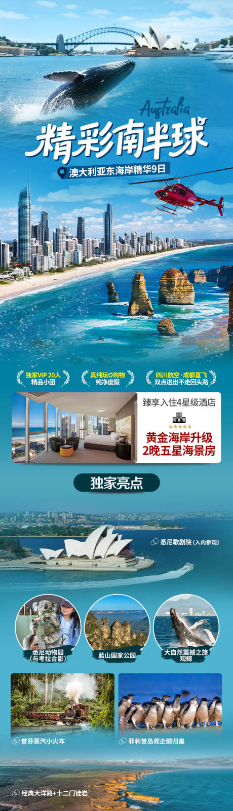 南半球观鲸季旅游