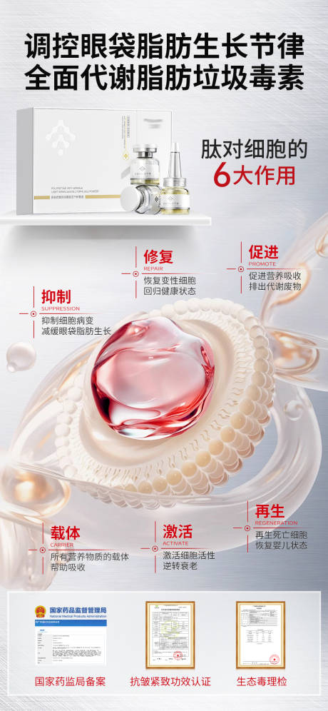 源文件下载【多肽原理海报】编号：30170031684328865