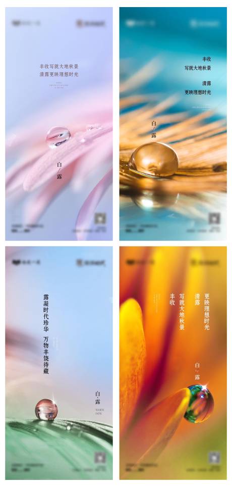 源文件下载【享设计】搜索编号：21770032236192798【白露节气微单】