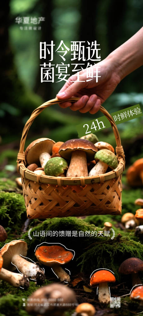 源文件下载【云南野生菌海报】编号：88150031952367490