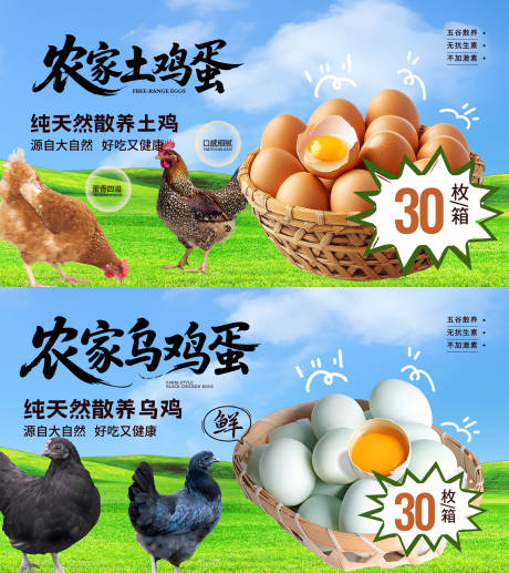 源文件下载【土鸡蛋主视觉活动展板】编号：84670031860172233