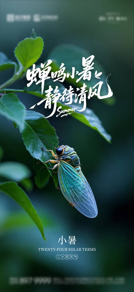 源文件下载【小暑海报】编号：56990031721074596